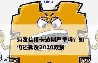 浦发信用卡逾期6天的影响及解决办法：如何恢复信用并避免受损？