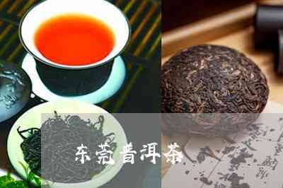 东莞有三千万吨普洱茶