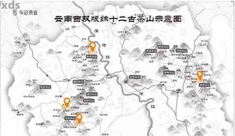 大忠山普洱茶产区在哪