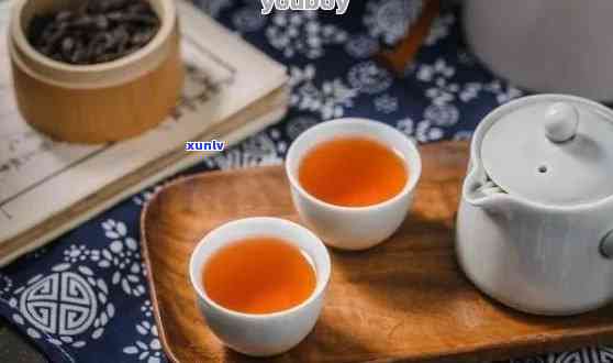 福鼎白茶与普洱茶哪个好？它们的区别和特点是什么？