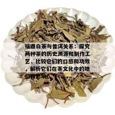 福鼎白茶与普洱茶哪个好？它们的区别和特点是什么？