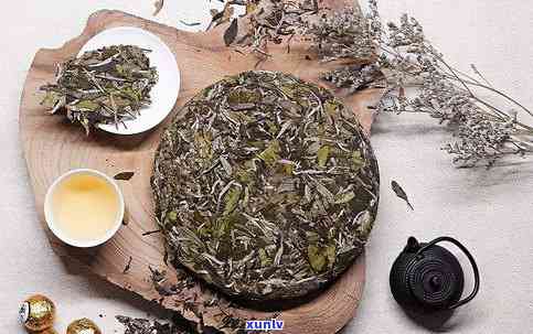 福鼎白茶与普洱茶哪个好？它们的区别和特点是什么？