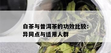 白茶与普洱茶的功效及区别：全面解析两者的异同与适用场景