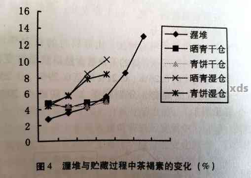 普洱茶的氧化应激效应及其对健的潜在影响：一篇全面解析的文章