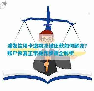 浦发银行卡逾期冻结后还款解冻：具体步骤及可能原因