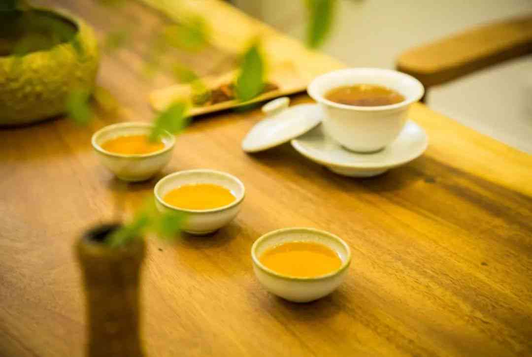 寻找百色地区最新茶叶体验：品茗新茶，领略地域特色