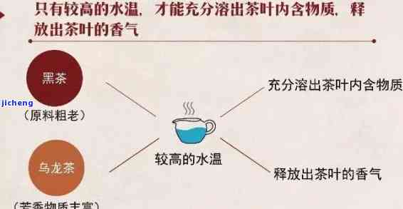 掌握正确的普洱茶煮法与技巧，让茶味更醇厚：一份全方位指南