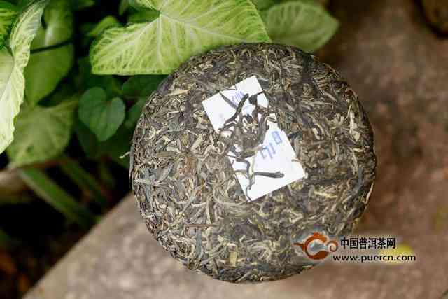 薄荷塘普洱茶：清凉口感与独特成分的结合，显著降低血脂