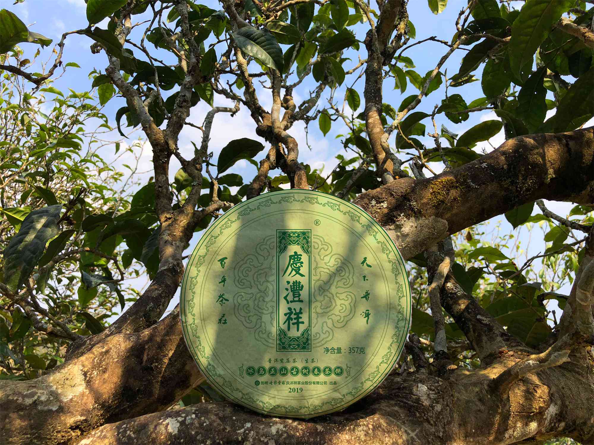 易武茶区有兰香的普洱茶品种与牌子大全：品质越，口感独特