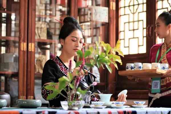 新普洱茶舍全方位推荐，让您了解与品尝普洱茶的五大理由