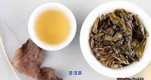 普洱茶：一种独特的发酵茶还是绿茶？