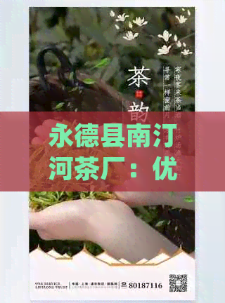 南汀河产区精选普洱茶：永德县茶厂官方网站，探索茶叶的故事与品质