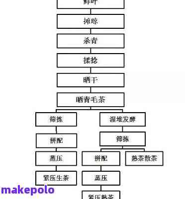 详细解析普洱茶制作的工艺流程与关键步骤：从筛选原料到压制成型