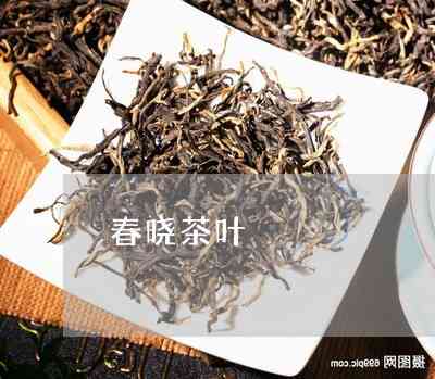 春晓茶叶怎么样？好喝吗？多少钱一盒？