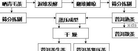 云南普洱茶加工工艺与商务谈判报价模拟技术论文