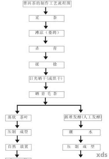 云南普洱茶加工工艺与商务谈判报价模拟技术论文