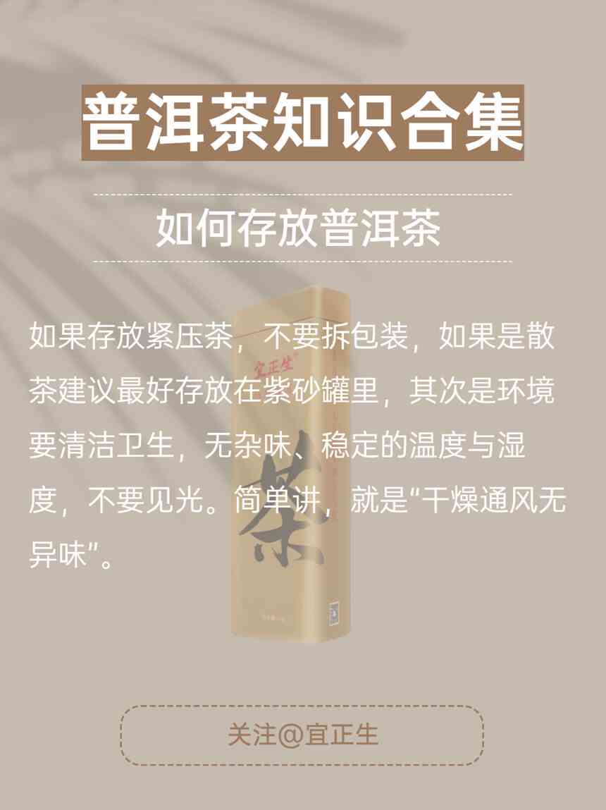 每天分享小知识普洱茶