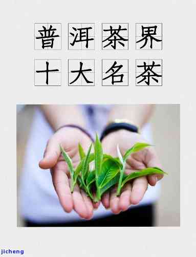 探索普洱茶的世界：如何为你的茶取一个独特的名字？