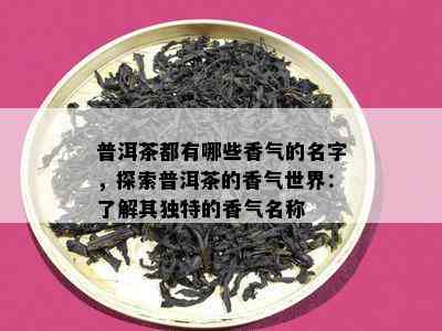 探索普洱茶的世界：如何为你的茶取一个独特的名字？