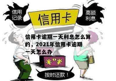 2021年信用卡逾期1天：后果、利息计算方式及逾期一周的影响