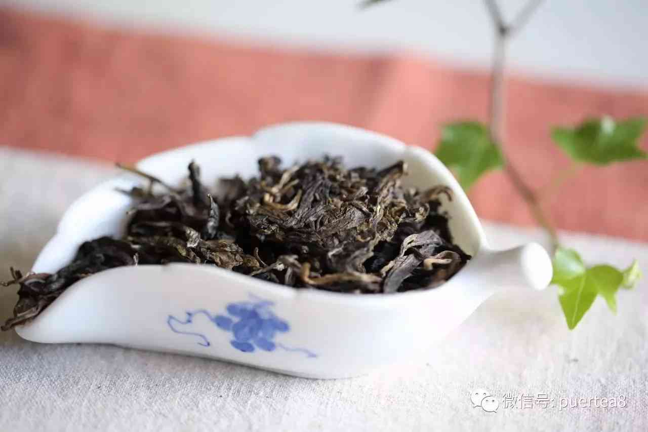 探究普洱茶散茶品质特征与口感体验的深度解析