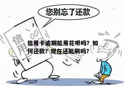 信用卡逾期影响花呗吗？怎么还款？