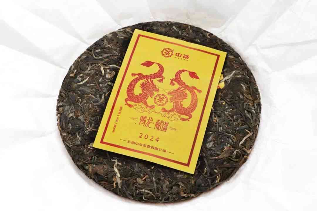 龙腾世普洱茶紧压茶