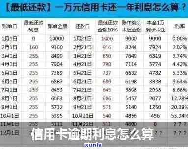 怎样算信用卡逾期天数及其与利息的关系