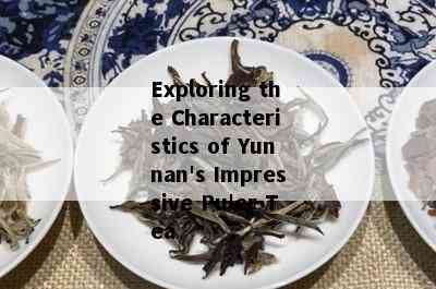 自古以来普洱茶就是云南的宝物英文： A Tribute to Yunnan's Pu'er Tea