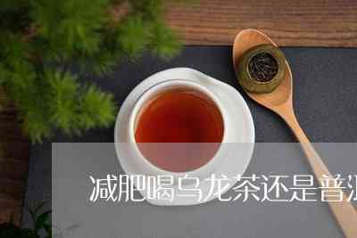 小青柑与乌龙茶的美妙融合：一款减肥与美容兼具的独特普洱茶饮