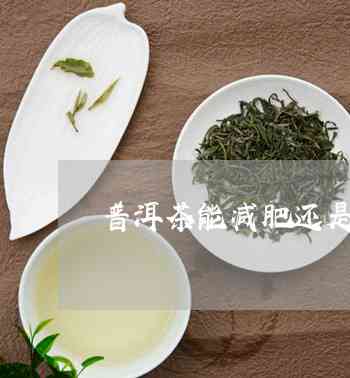 小青柑与乌龙茶的美妙融合：一款减肥与美容兼具的独特普洱茶饮