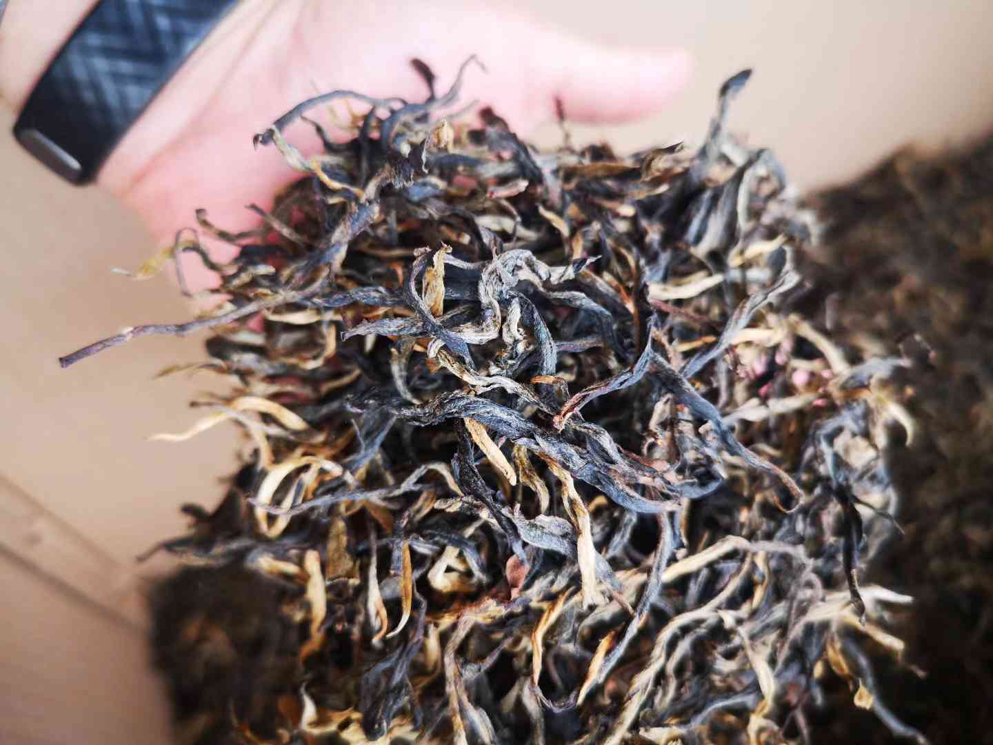 云南勐海老树茶厂官网：探索班章古茶林的魅力与品质