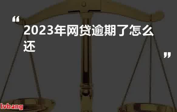 2023年针对网贷行业的逾期处置策略：全面解读与应对建议