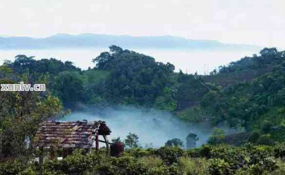 临沧最有名气普洱茶山景点推荐：哪些地方最值得一游？