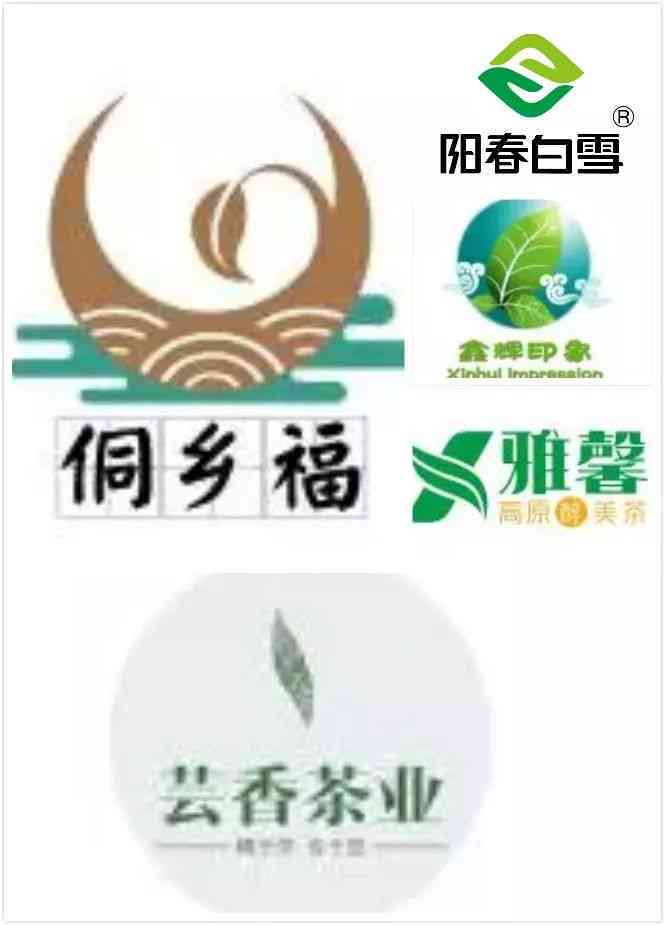 贵州普洱茶全面解析：哪些牌子更受欢迎？