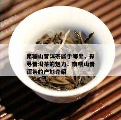 南糯山普洱茶：西双版纳独特产地的茶叶宝藏