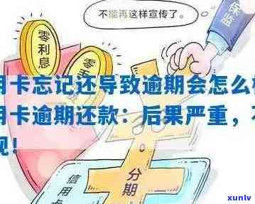 信用卡逾期处理全攻略：如何规划还款、避免罚息及挽救信用