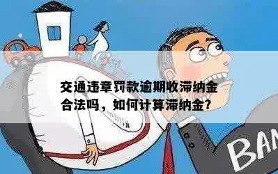 招商逾期后的时间表：家人会何时接到电话？如何避免不必要的担忧？