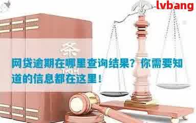 背调网贷逾期：解决方法和影响因素分析