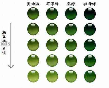 翠绿色与浅绿色：详细对比及如何区分两者？