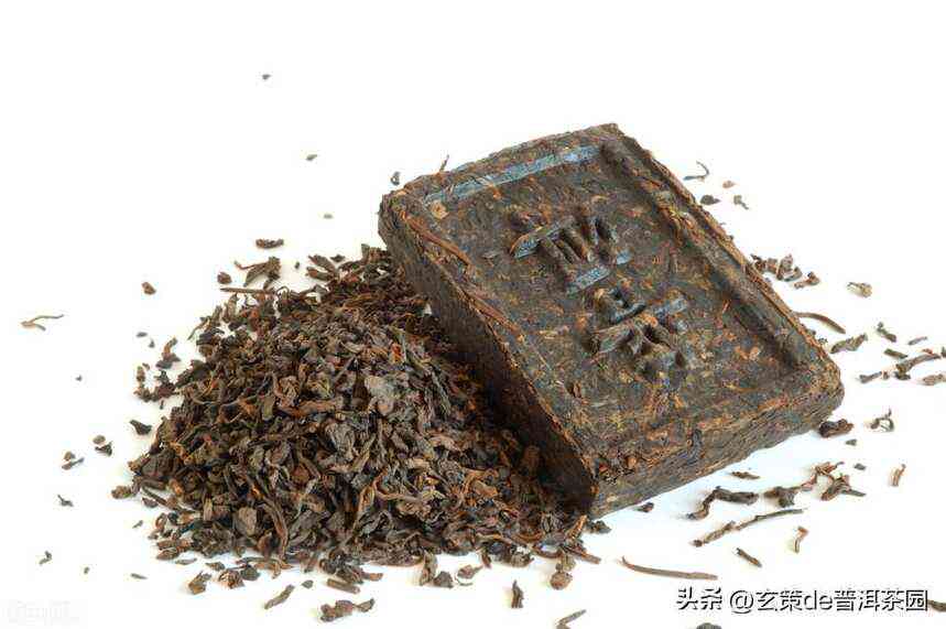 普洱茶紧压与散茶的区别：为什么普洱茶紧压茶更受欢迎？