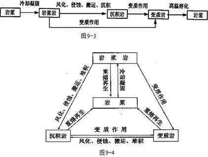 沉积岩变质岩岩浆岩关系及区分特征：举例说明