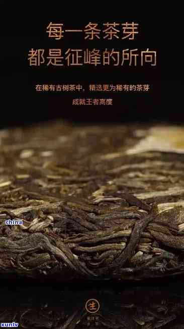 老班章古树茶：独特的普洱茶魅力与越品质解析