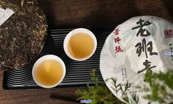 老班章古树茶：独特的普洱茶魅力与越品质解析