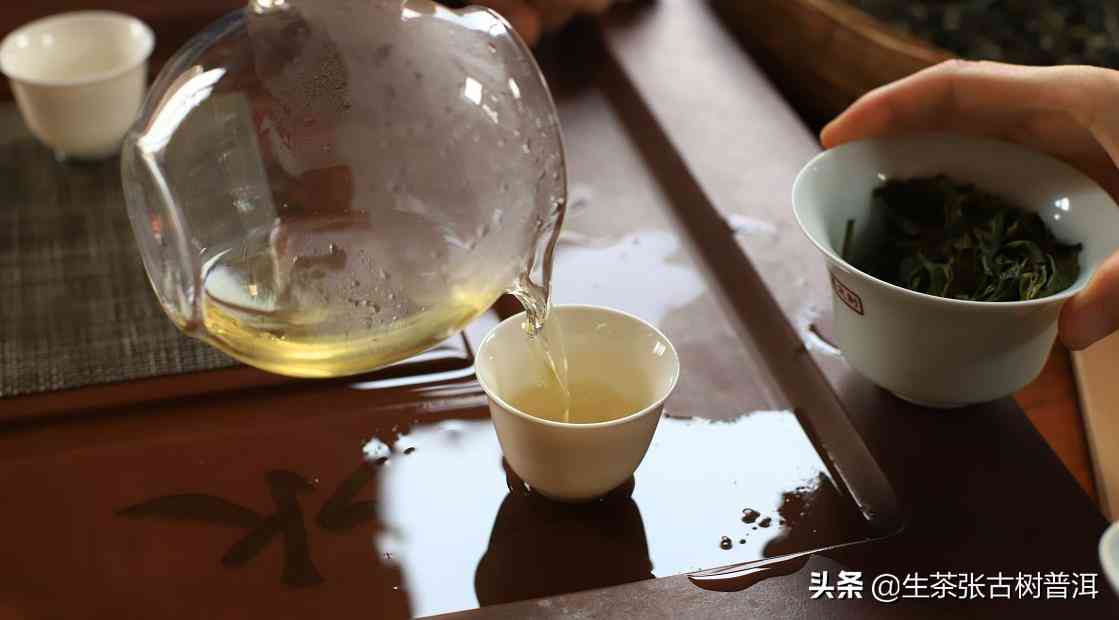 探索普洱茶生茶的冲泡度：细节决定品质