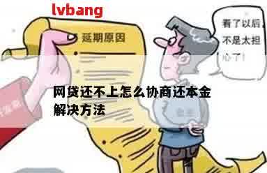 如何寻找合适的网贷部门进行咨询：权威指南与实用建议