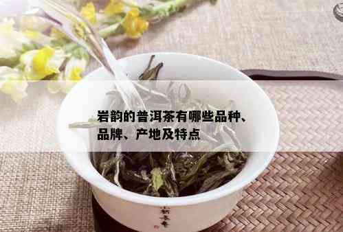 挑选上等普洱茶品种的实用技巧与指南