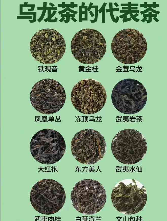 普洱茶属于哪种茶系列和系别，以及它属于哪一种类型的茶。