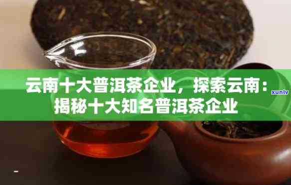 云南普洱茶产业：十大排行榜分析