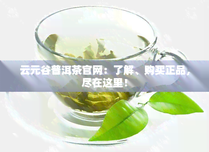 云元谷普洱茶官方商城：精选茶叶，品质生活